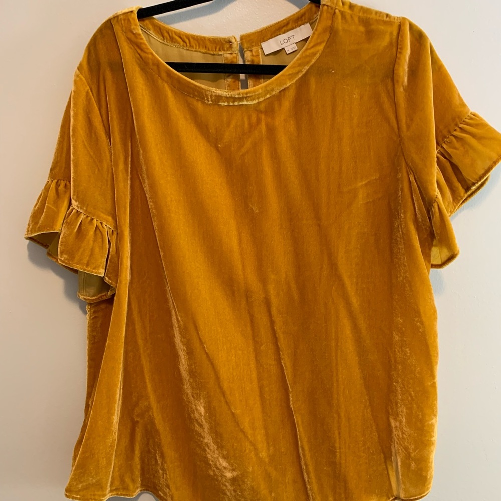 Loft Velvet Blouse